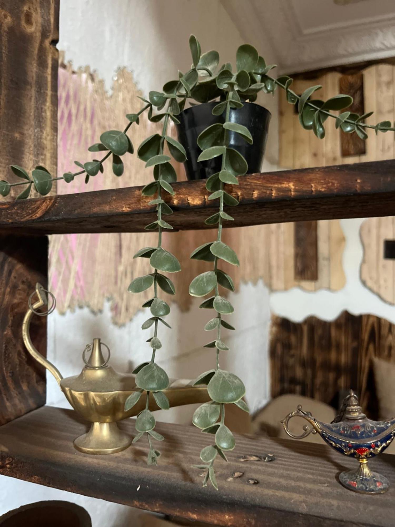 Let Us Surf Bed & Breakfast Tamraght Екстериор снимка
